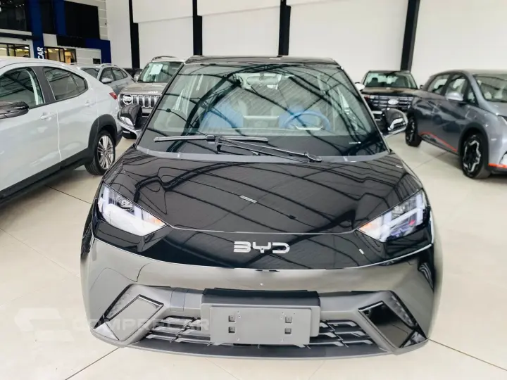 DOLPHIN MINI 38 KW ELÉTRICO GS