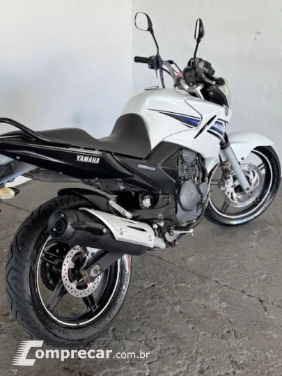 YS 250 FAZER/ FAZER L. EDITION /BLUEFLEX