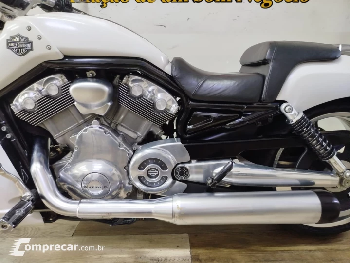 V Rod Custom 1250 cc