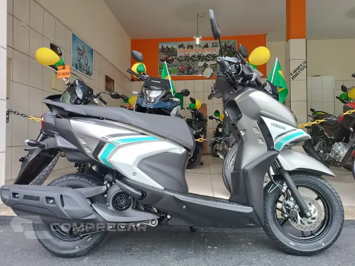 ZR 126
