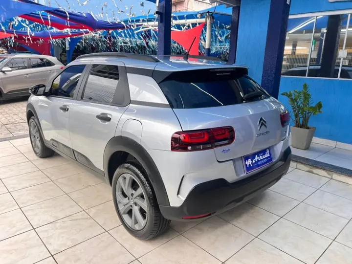 C4 CACTUS