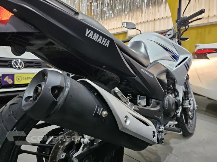 YS 250 FAZER/ FAZER L. EDITION /BLUEFLEX