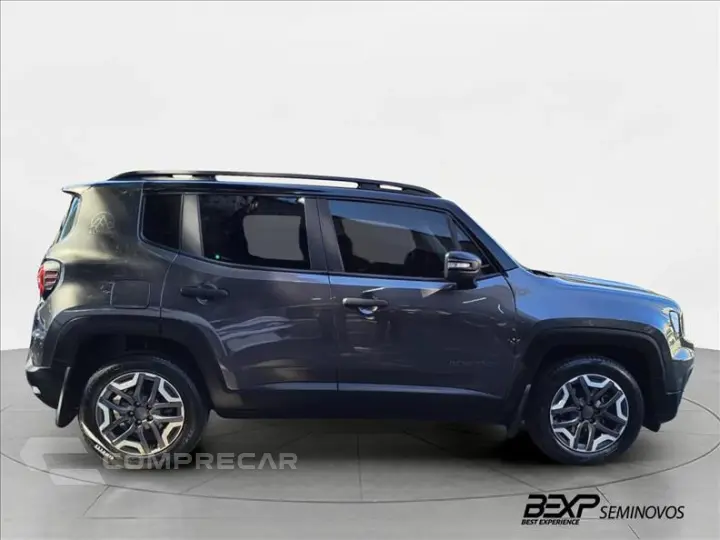 RENEGADE 1.3 T270 Turbo Altitude