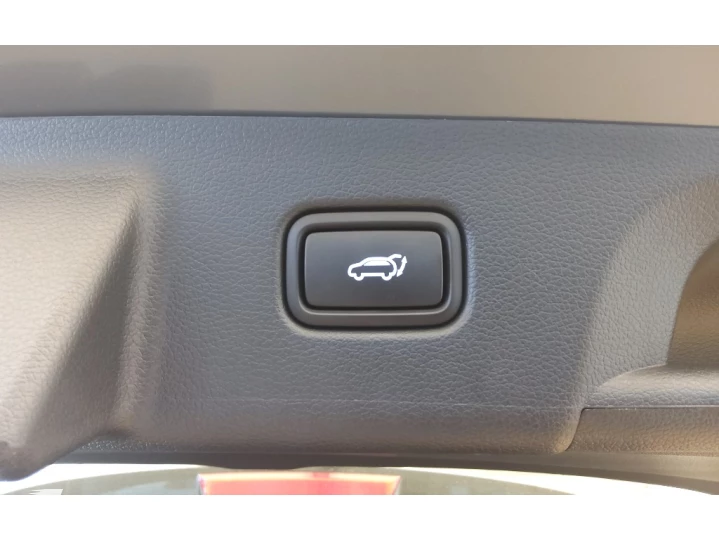 PALISADE PALISADE SIGNATURE 3.8 GDI AWD AUT.