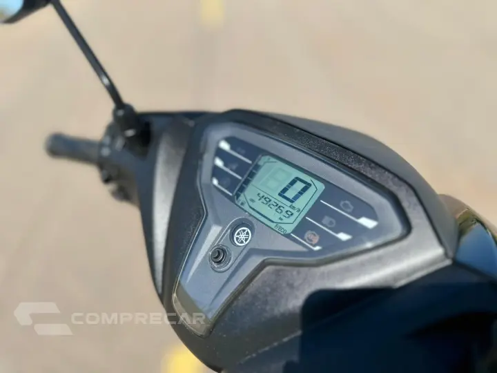 FLUO 125