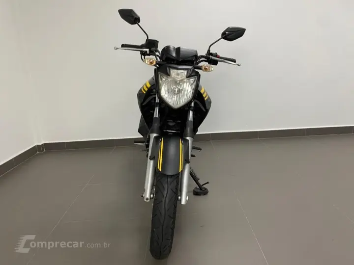 YAMAHA FAZER YS 250