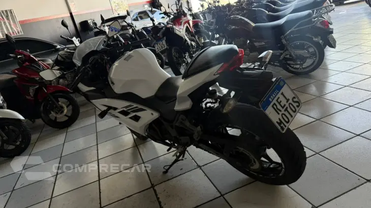 NINJA 300C