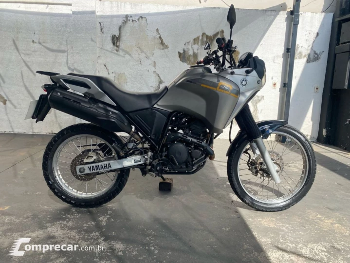 XTZ 250 TENERE/TENERE BLUEFLEX