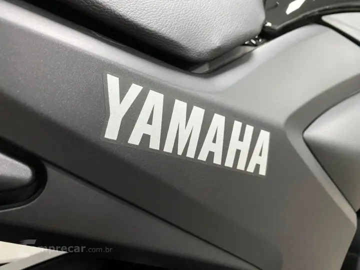 YAMAHA FAZER YS 250