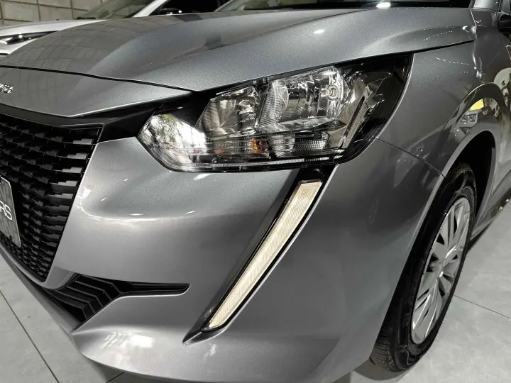 208 1.0 FIREFLY FLEX LIKE MANUAL