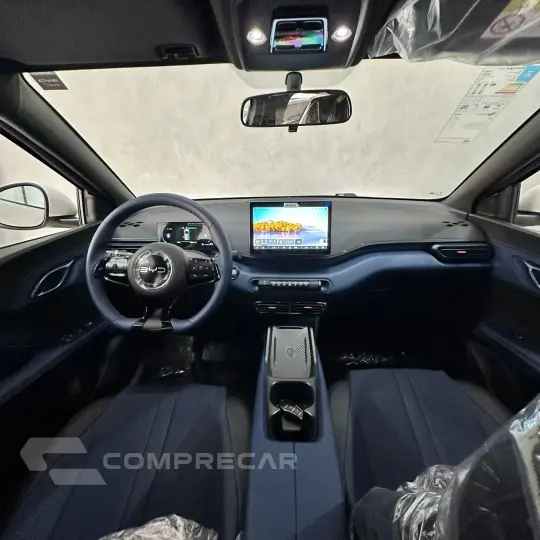 Dolphin Mini (Elétrico)