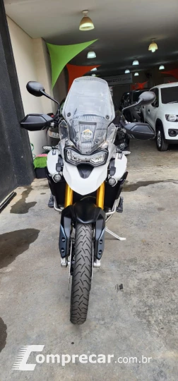 tiger 900 rally pro