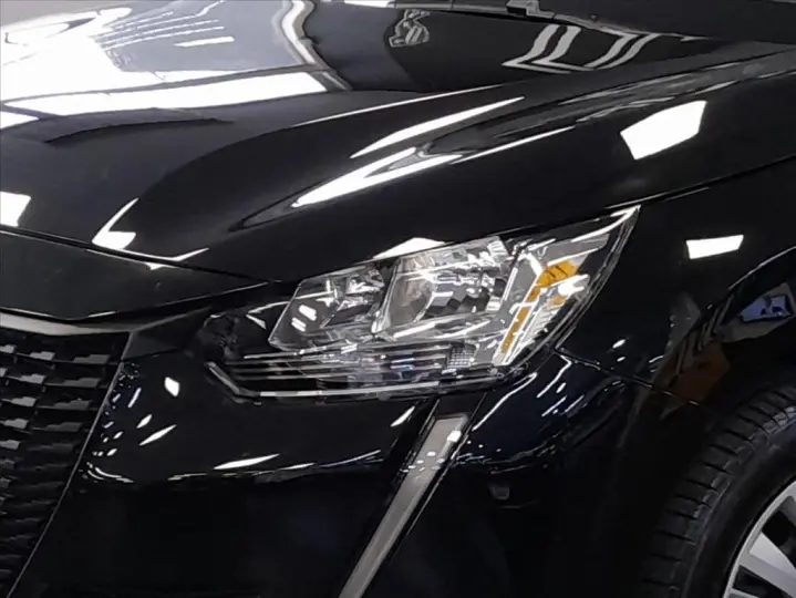 208 1.0 FIREFLY FLEX LIKE MANUAL