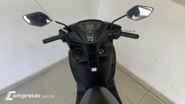Fluo 125