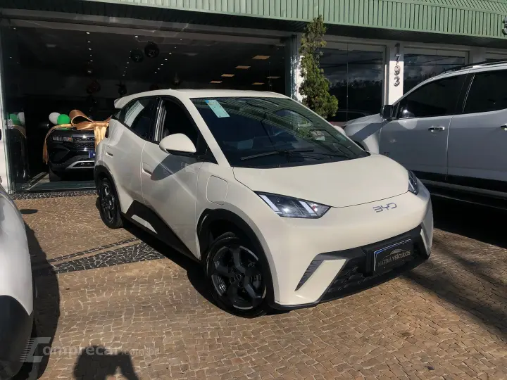 Dolphin Mini 38 Kw Elétrico