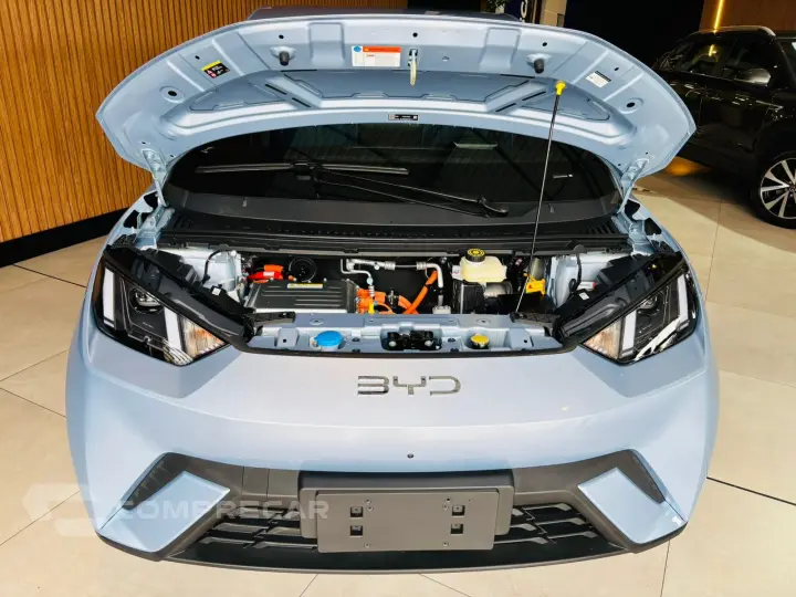 DOLPHIN MINI 38 KW ELÉTRICO GS