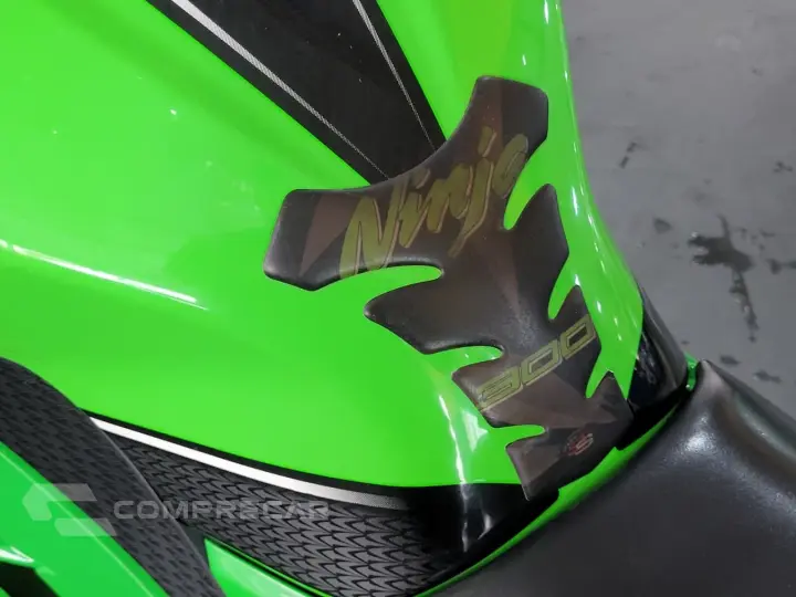 NINJA 300