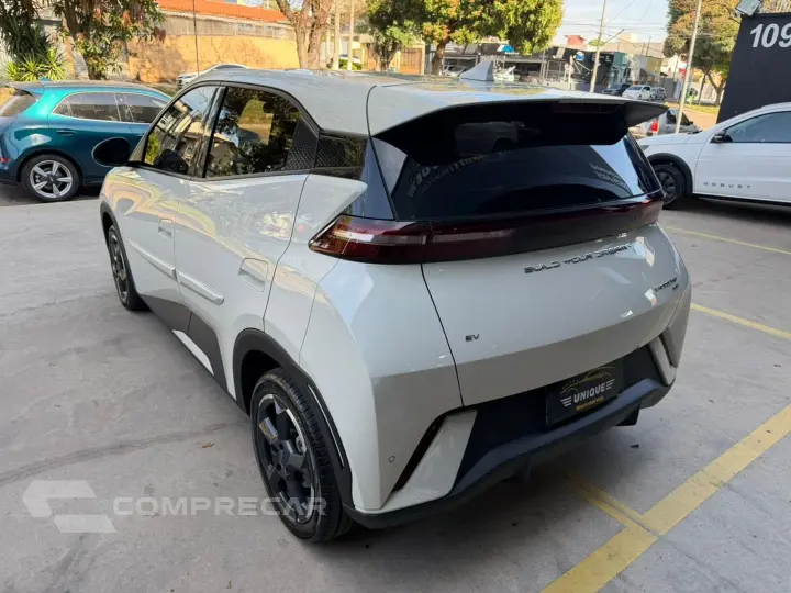 Dolphin Mini 38 Kw Elétrico