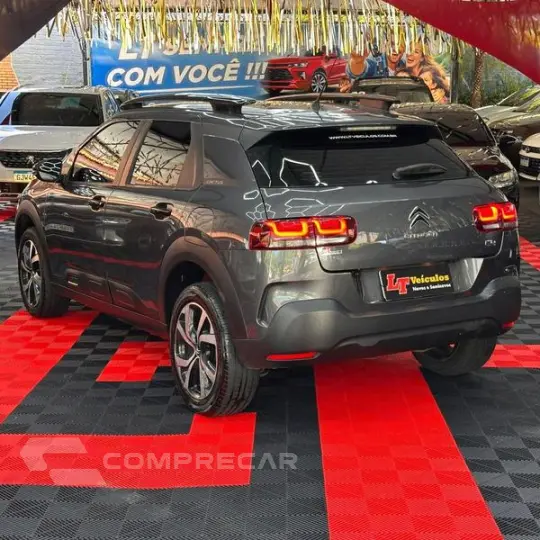 C4CACTUS SHINE T
