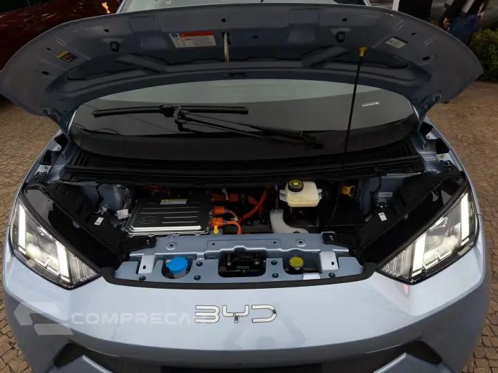 Dolphin Mini 38 Kw Elétrico Gs