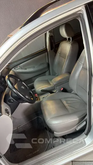 Corolla fielder