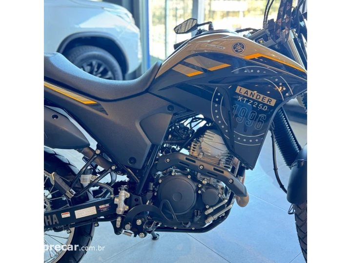 XTZ LANDER