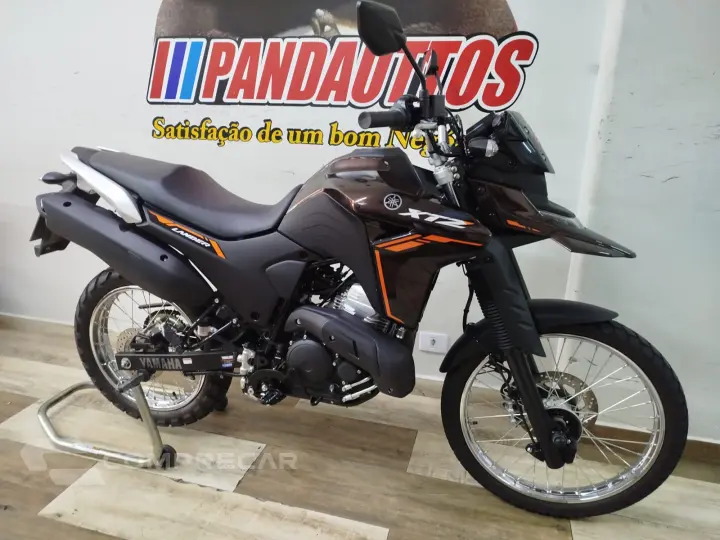 XTZ 250 LANDER CONNECT