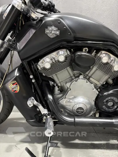 V-ROD MUSCLE 1250 VRSCF