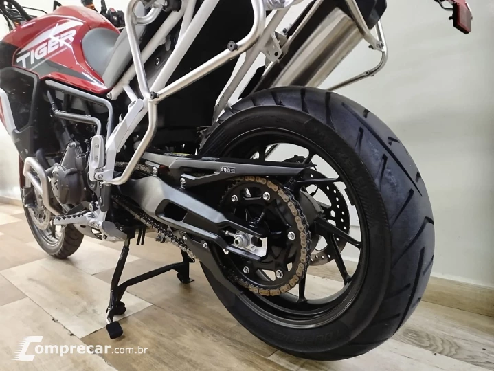 Tiger 900 GT ARAGÓN