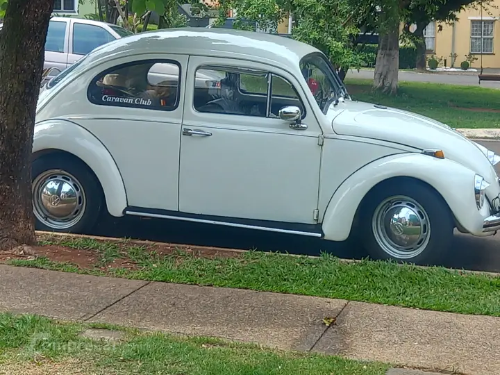 Fusca