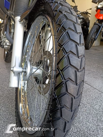 XTZ 250 TENERE/TENERE BLUEFLEX