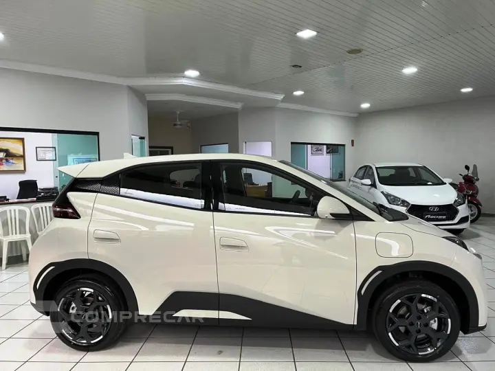 Dolphin Mini 38 KW ELÉTRICO GS