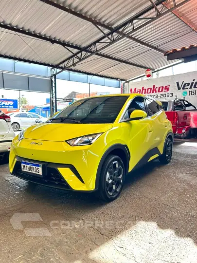 Dolphin Mini (Elétrico)