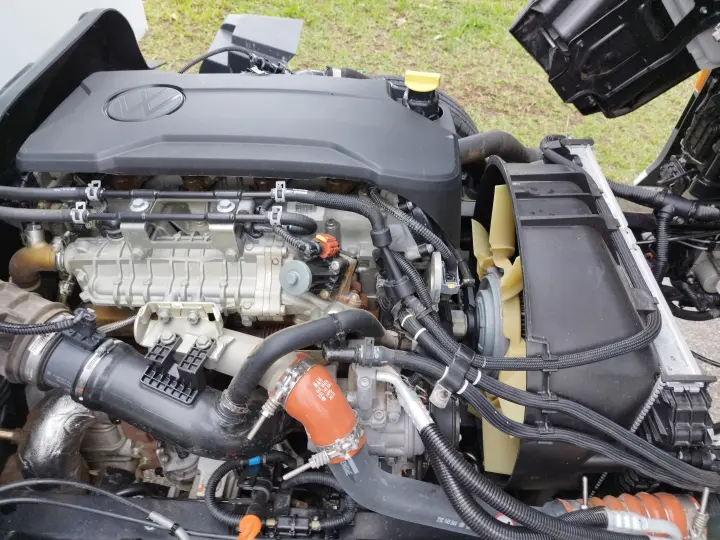 Delivery 6.170 (carroceria + Cabine Suplementar)