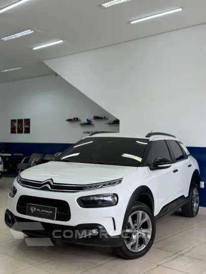 C4 CACTUS FELL