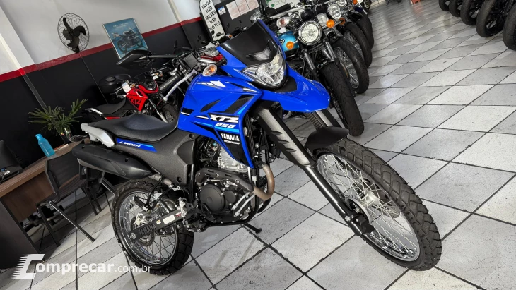 LANDER 250 ABS