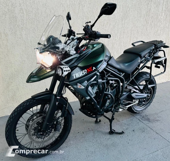 Tiger 800 Xca