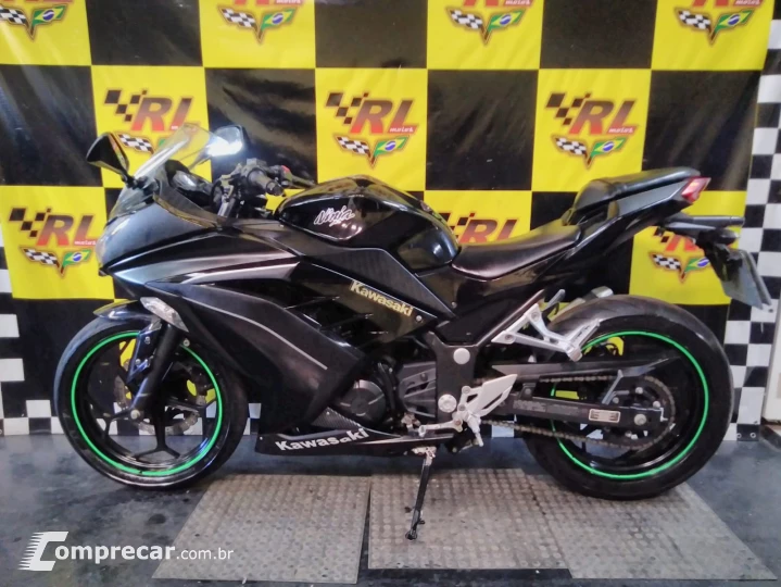 Ninja 300