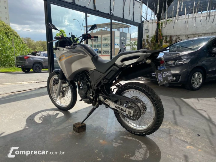 XTZ 250 TENERE/TENERE BLUEFLEX