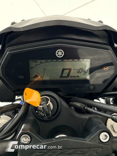 FZ250 FAZER