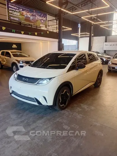 Dolphin EV (Elétrico)