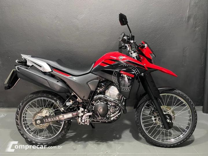 LANDER 250 ABS