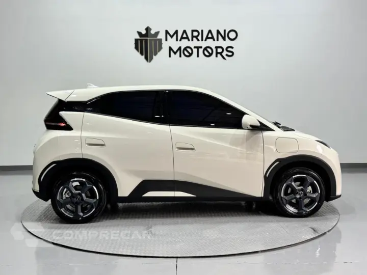 DOLPHIN MINI GS EV