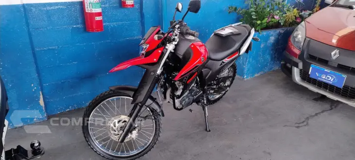 XTZ LANDER