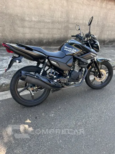YS 150 FAZER SED