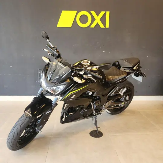 Z 300