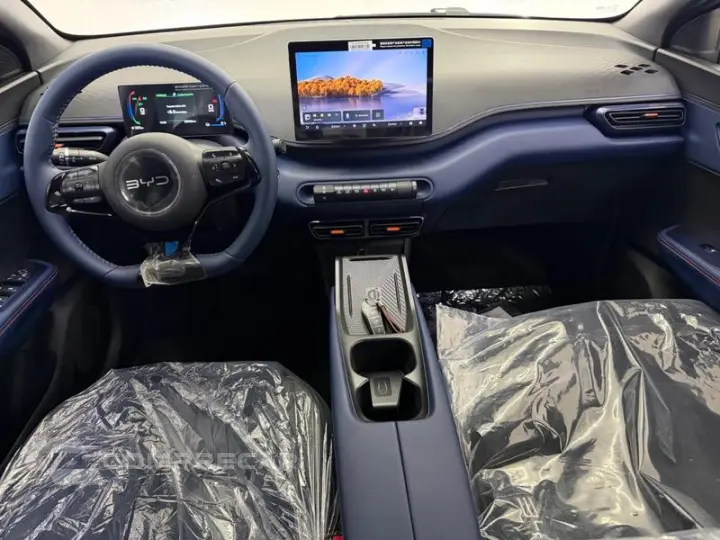 DOLPHIN MINI (ELÉTRICO)