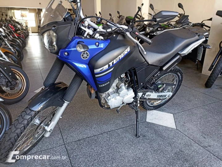 XTZ 250 TENERE/TENERE BLUEFLEX