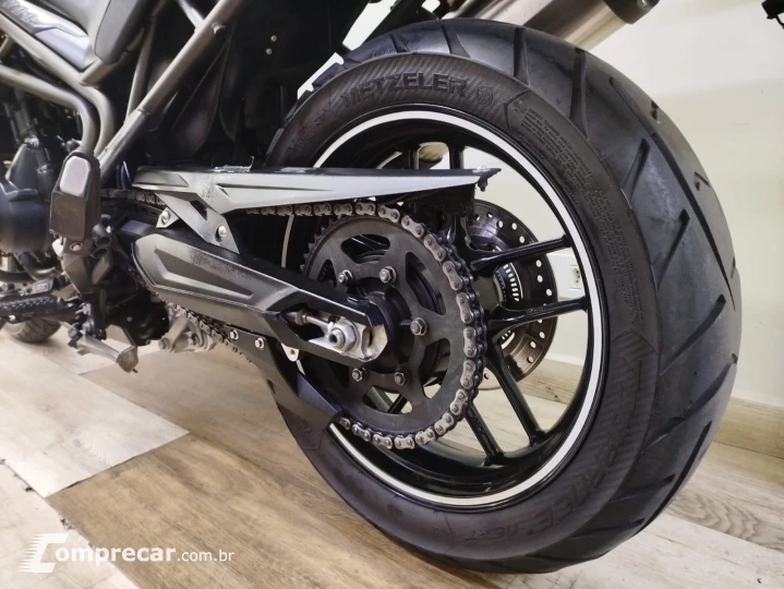 Tiger 800 800 cc