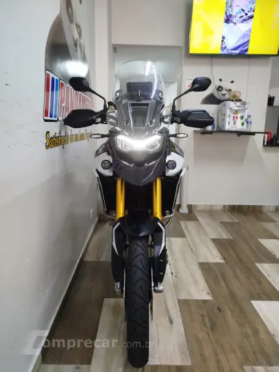 TIGER 900 RALLY PRO